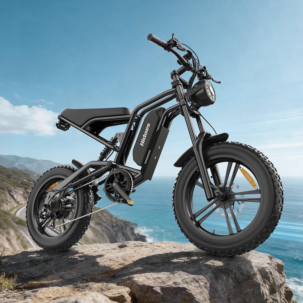 iENYRID Electric Bike for Adults, Fat Tire Hidoes B6 25KM/H Electric Bike Bicycles 15.6Ah Removable Battery E Bikes for Adults Electric Mountain Bike for Men