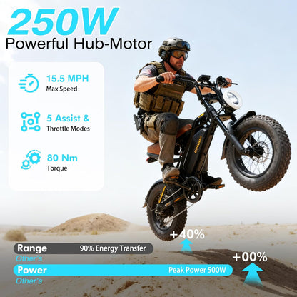 Bodywel M16 Fat Tire Electric Bike For Adult, 48V 13.5AH Removable Battery, 250W Brushless Motor, LCD Display, Dual Suspension, Disc Brakes, Headlight, Indicators for All Terrain